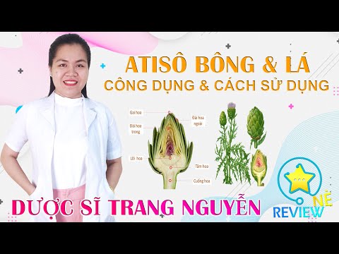 , title : 'Atisô có tác dụng chữa bệnh gì? Cách sử dụng atisô tốt nhất cho sức khỏe'