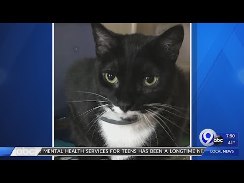 TMN Weekend - Petsavers - 10/18/2020