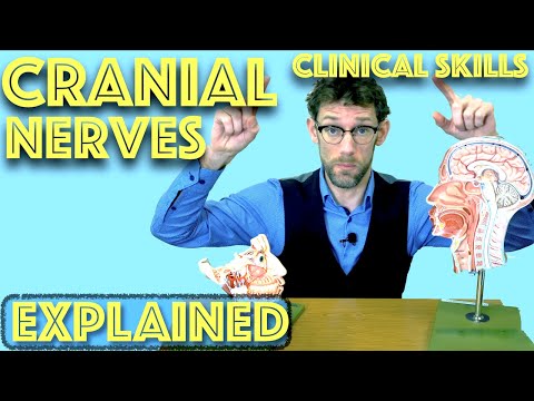Cranial Nerve Examination Explained - Clinical Skills Deep Dive - Medical School Revision - Dr Gill