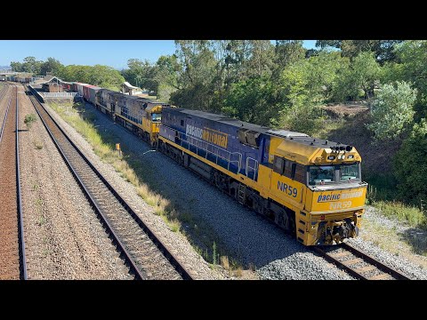 Pacific National’s NR59, NR6 & NR105 with 5BM4 at East Maitland - 9/1/26