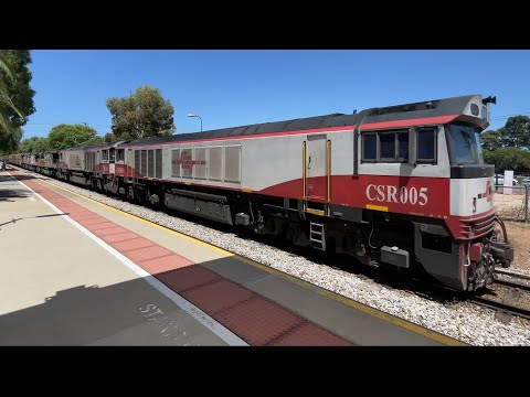 #CSR005, #CSR009 “Ziyang”, #SCT003, #SCT007 & #VL359 “Media Puzzle” Leads 1MA9 through Millswood