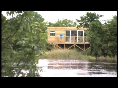 Glaslyn Wildlife - ITV Wales News - 28.7.15