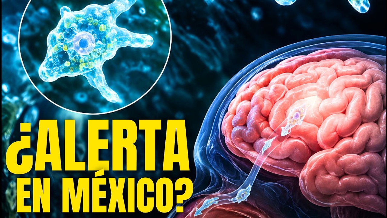 NOTICIA de ÚLTIMA HORA.... LA AMEBA COME CEREBROS LLEGÓ a MÉXICO