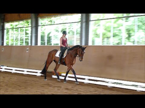 Balous Bellini 17 06 2015