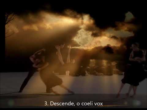 David Daniels: Longe mala, umbrae, terrores RV 629 Vivaldi