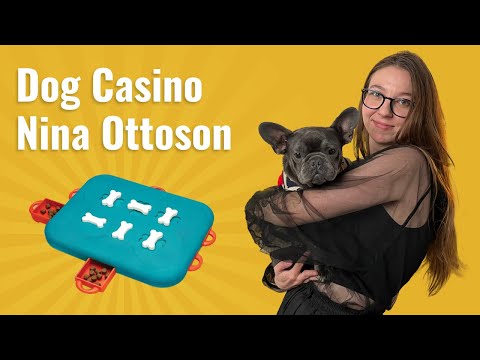 Интерактивная игрушка для собак Nina Ottoson Дог Казино, бирюзовая, 24.5×31.5×3.5 см video