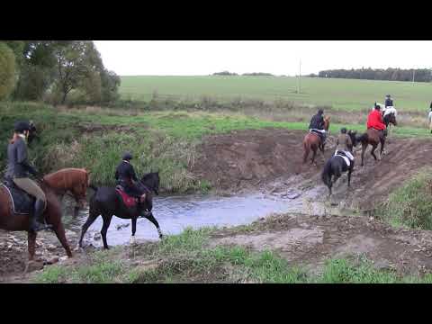 Parforsní hon_foxhunting_Schleppjagd_MARTINICE-DRAHENICE_11