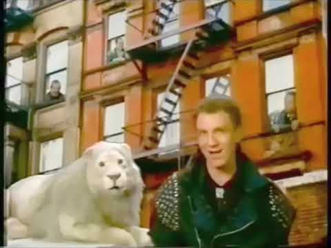 The Jim Henson Hour - The Lion Sleeps Tonight - The Nylons