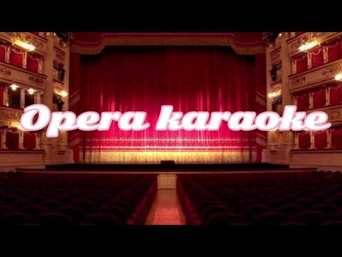 Opera karaoke  Votre toast, je peux vous le rendre—Carmen