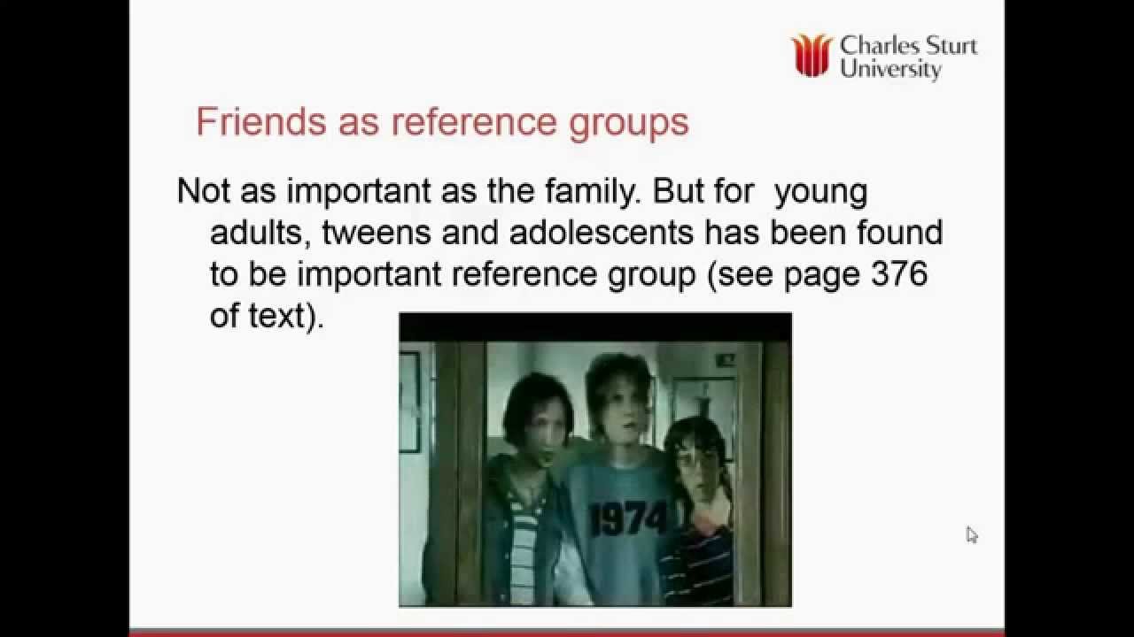 Reference groups and consumer behaviour