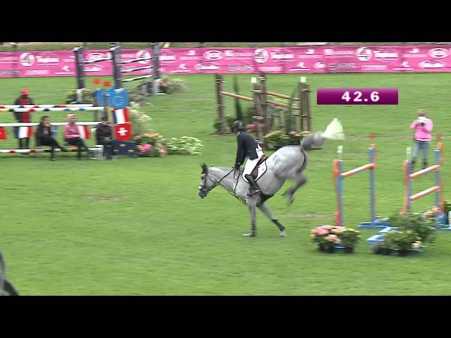 Mother: Tinkabell with Rodrigo Pessoa GP Mare