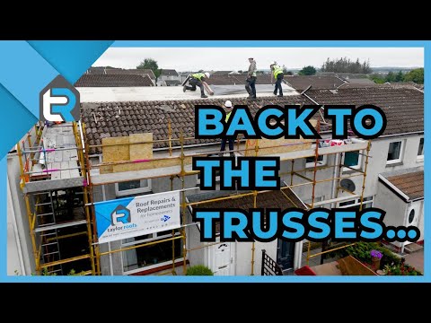 What a Full Roof Replacement Actually Looks Like