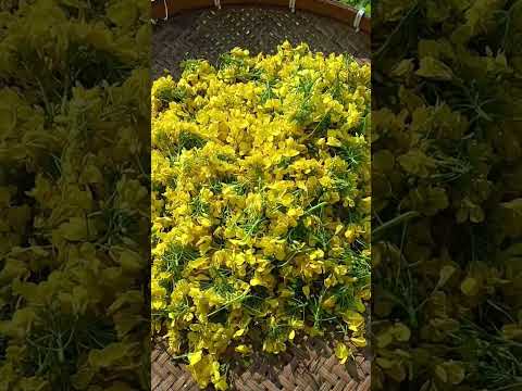 #flowers #food #happy