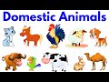 Domestic Animals Domestic Animals Sounds Domestic Animals Name Animals Name Animals Domestic