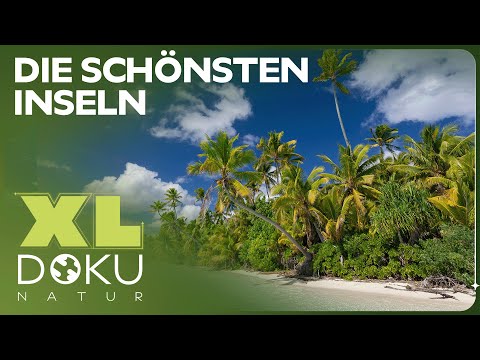 Doku: Inseln am Äquator | Trauminsel im Pazifik Atoll | XL Naturdoku