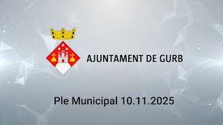 Ple municipal del 10.11.2025