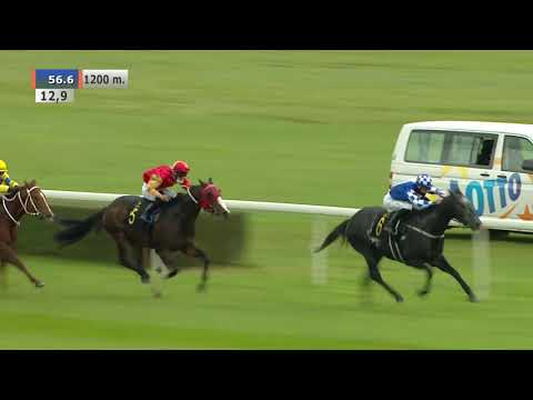 11.10.2020 (D39; G1; Tor: 3,4; 10°C)