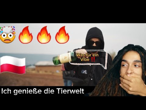 TYMEK - RADOŚĆ FIT. NABO NASSIB FONABO |🔥REACTION🔥|