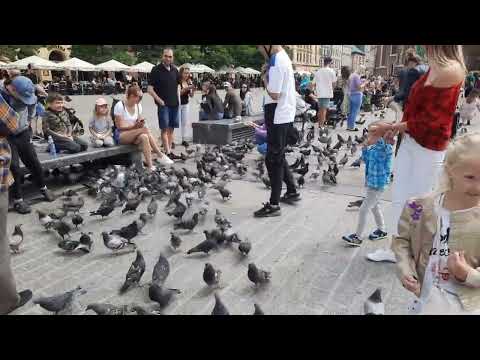 Most Peaceful City in Europe , Nice Place to Visit...Welcome to KRAKÓW