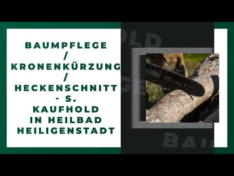 Baumpflege - S. Kaufhold YouTube-Vdeominiatur 7