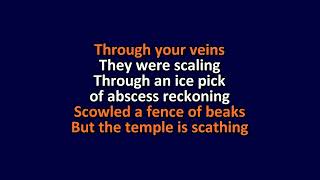 The Mars Volta - Miranda That Ghost Just Isn't Holy Anymore - Karaoke Instrumental Lyrics - ObsKure