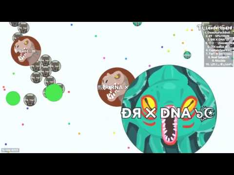 PopSplit, LineSplit, TrickSplit, CannonSplit, MiniPop, DoubleSplit, VanishSplit  io