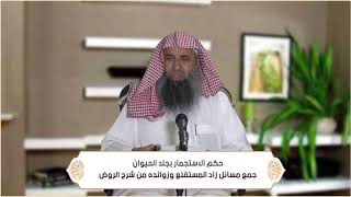 صورة حكم الاستجمار بجلد الحيوان (الطهارة - باب الاستنجاء ) م56