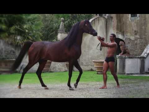 EKS ALIHANDRO - A film by Matteo Marconi and Oscar Sanchez H - Giacomo Capacci Arabians