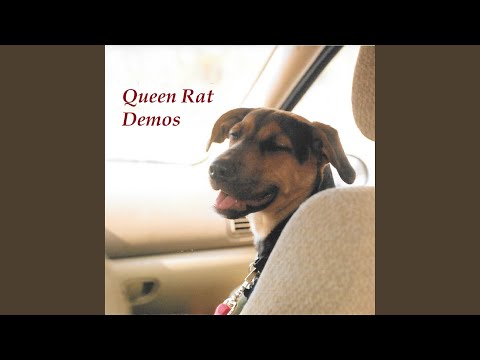 Northeast Ohio Rocks (Demo Version)