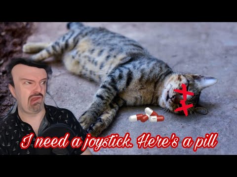 DSP Tries to Convince Dents A $320 Joystick Is an Investment But $300 On A Vet For Jasper Is Crazy