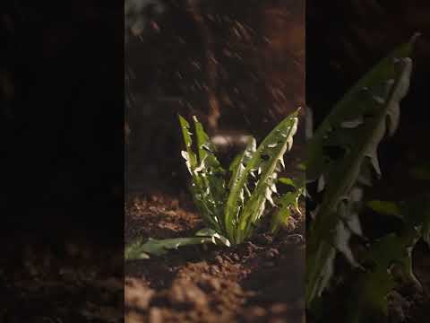 Миниатюра изображения товара Мотокультиватор бензиновый Huter GMC-6.5 (70/5/6)