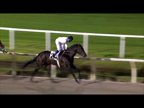 210321 c08 Mercosur/ FREEDOM OF SPEECH (BRZ)