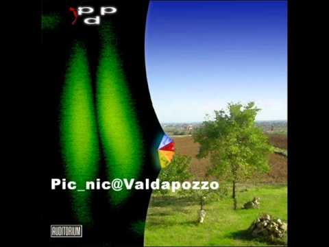 Picchio dal pozzo - Upstairs Room (live)