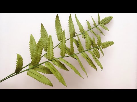 ABC TV | How To Make Fern Leaves Paper - Craft Tutorial