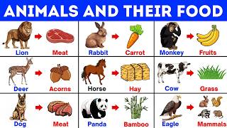 Animals and their Food | Foods of Animals | Animals Vocabulary | Animal foods with Pictures
