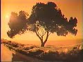 Kodak Kodacolor II Film 1981 Commercial