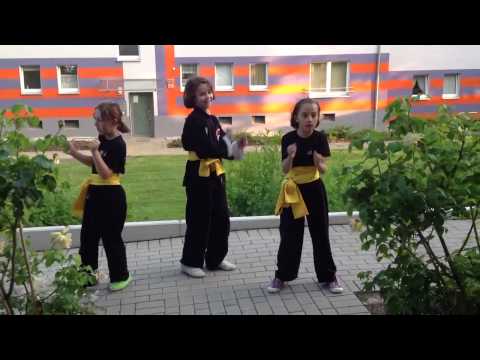 Kung-Fu-Gang tanzt den Gangnam Style