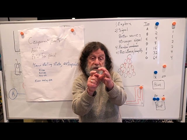 Reductionism Humans Understanding Human Behavioral Biology Through the Lens of Emergence ...