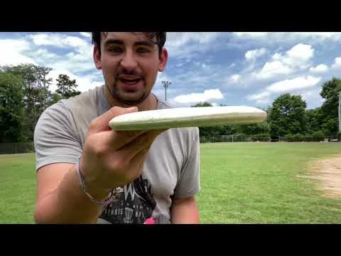 The Wild Discs Hummingbird