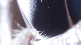 Roly Porter | Known Space [Tri Angle 2016]