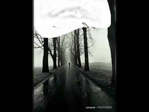 Ali Ekber Eren - Kaşında Ben Olayım