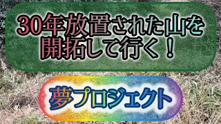 夢プロジェクト企画！山を開拓してみる！？