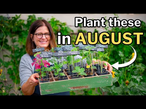 AUGUST PLANTING GUIDE: What to Plant in Zones 9 and 10