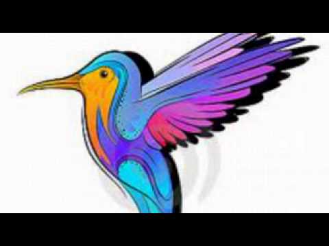 1135 Xamanica - Ivan Donalson - Buscando Alas