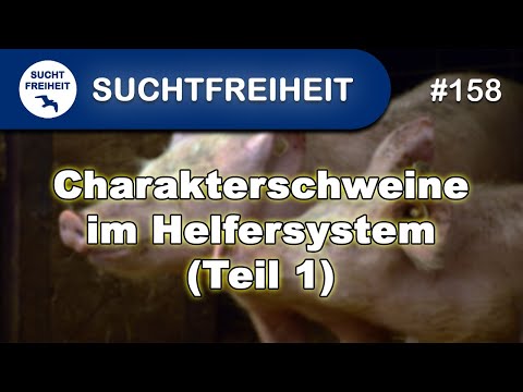 Charakterschweine im Helfersystem (Teil 1)