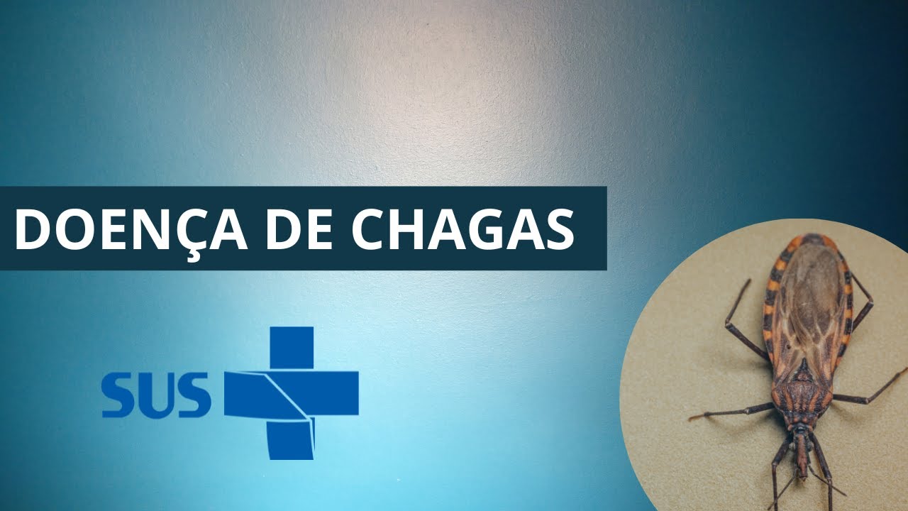 Doença de Chagas - características gerais, prevenção e tratamento.
