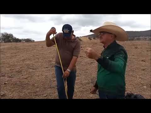 Poço marcado a distância no povoado Santa Rosa município de Iati PE por Luiz Alves marcador de poços