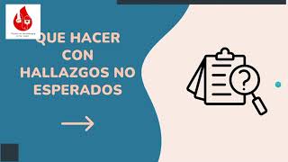 Tipos de Bolsas