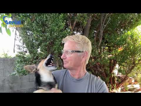 Ditch the Spreadsheets: Drone Reports That Speak for Themselves | Construction Site Comms