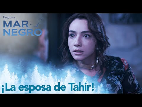 Asiye molesta a Vedat con sus palabras - Capítulo 77 | Fugitiva